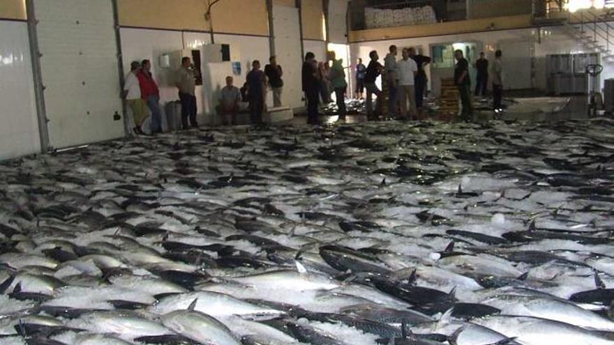 La pesca gana precio en la Lonja aunque se resiente en los caladeros