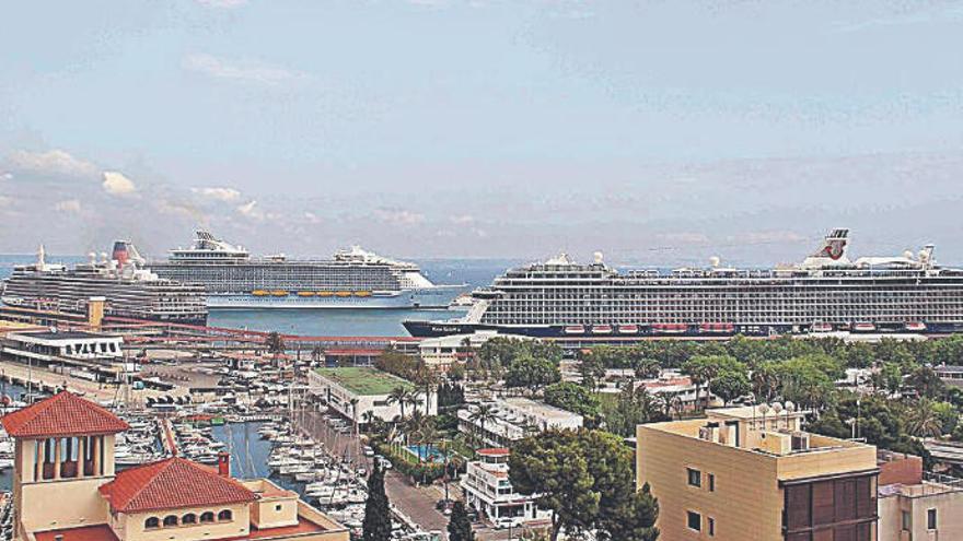 Cruceros atracados en el puerto de Palma.