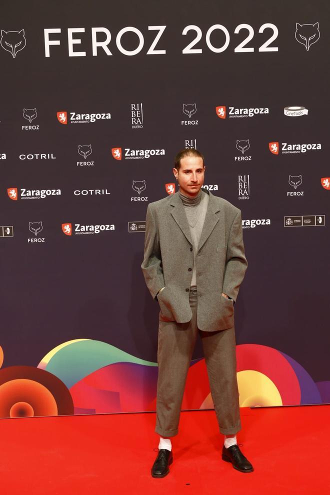 Las mejores imágenes de la alfombra roja de los Premios Feroz