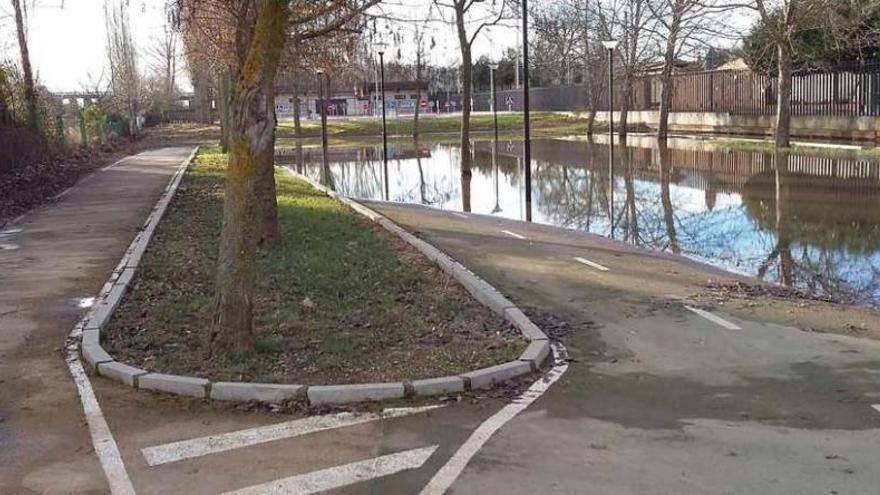 Parte del carril bici anegado por el Órbigo en enero. Foto C. J. A. G.