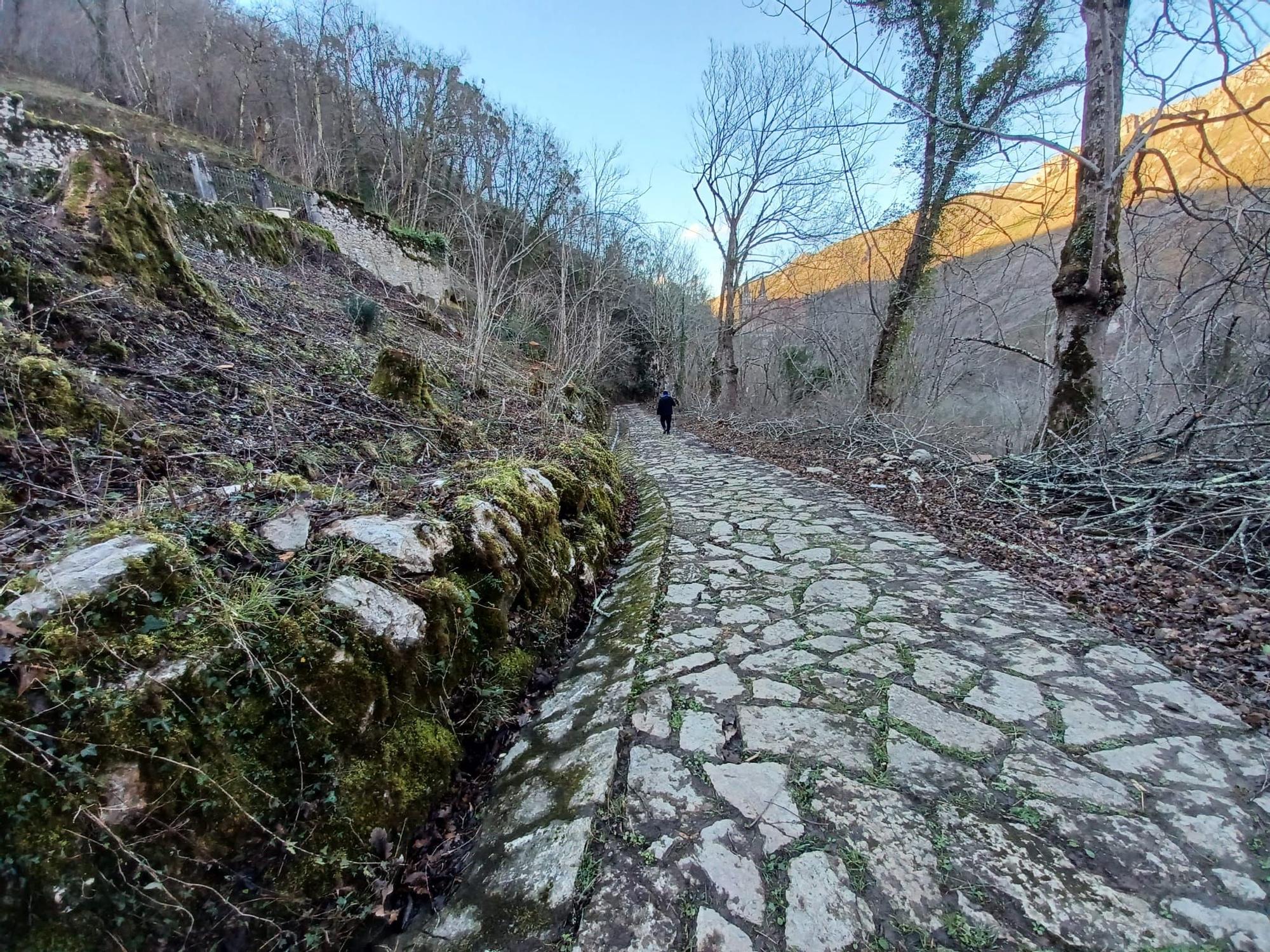 Leones de Papa, jardines de Príncipe y camposanto secreto, las mil y una curiosidades de Covadonga