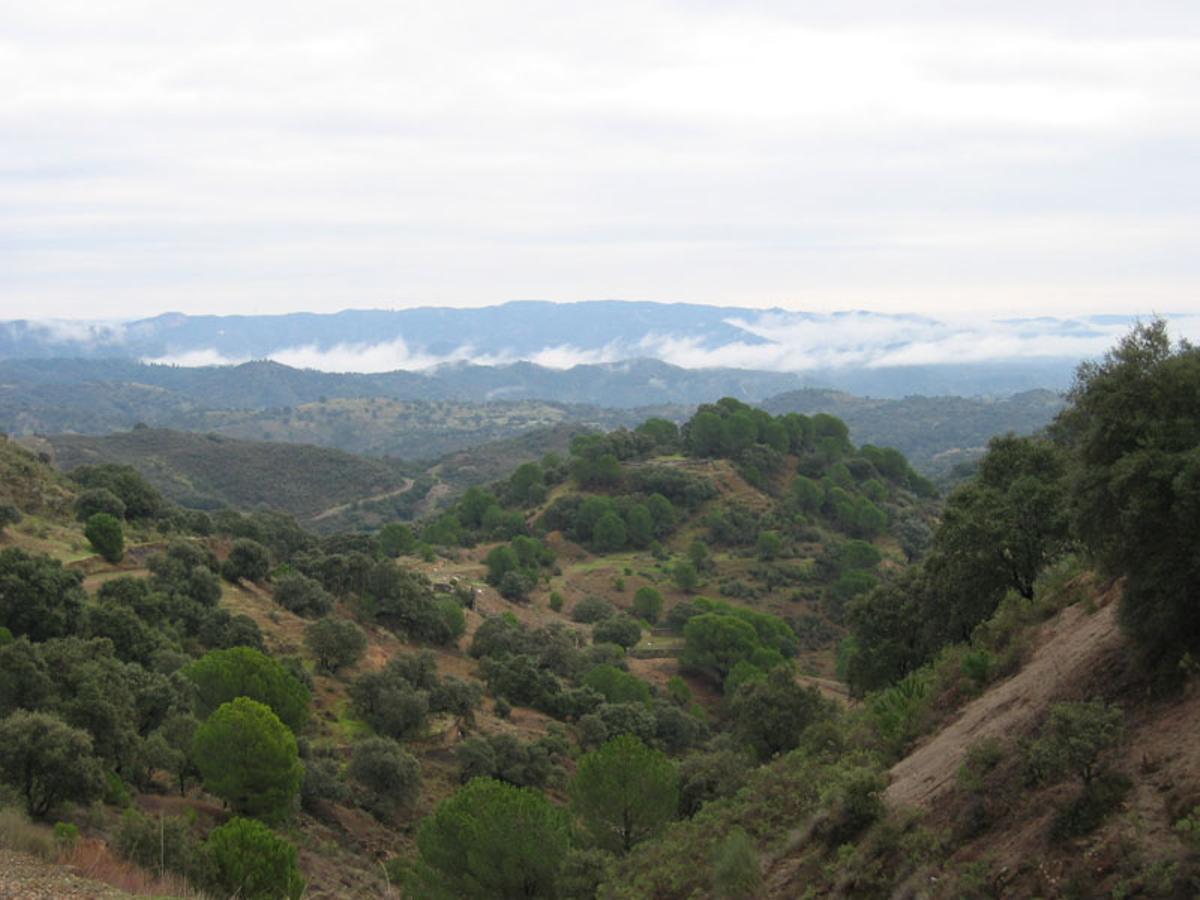 Sierra Morena, desde Obejo.