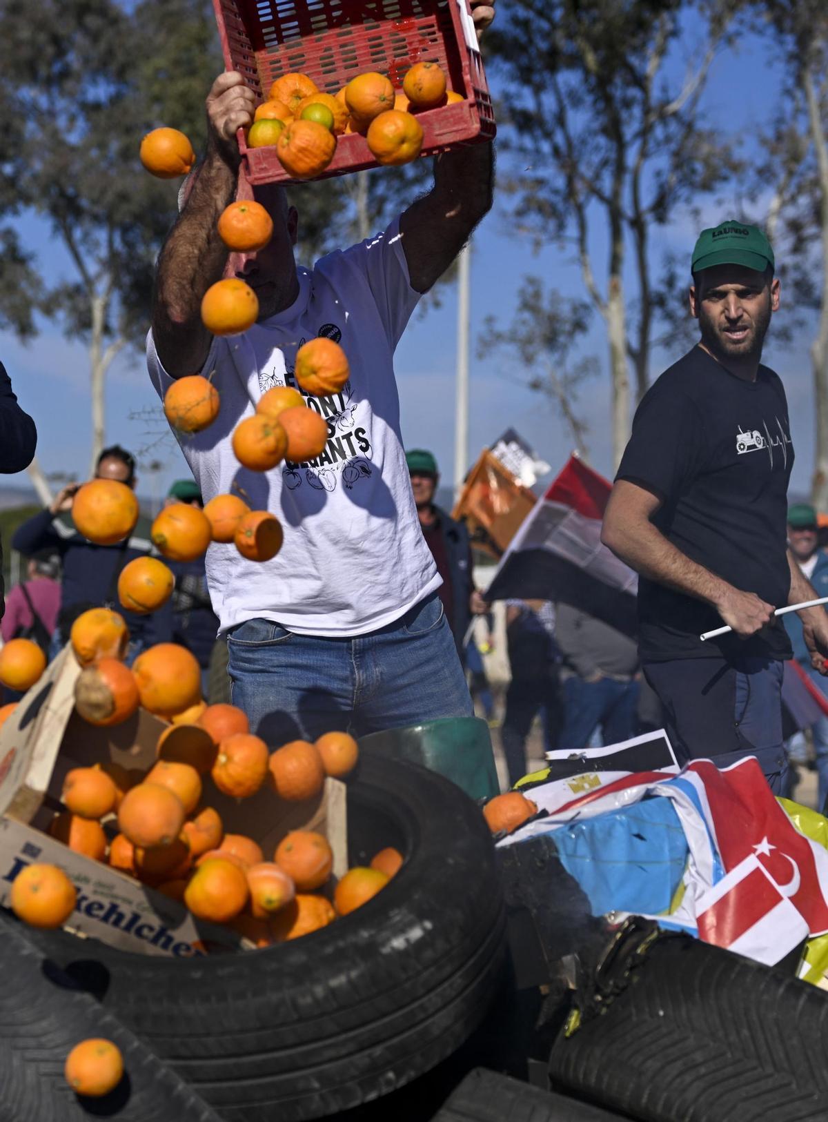 Carles Peris, secretario general de la Unió, tira naranjas al suelo en protesta por la entrada masiva de fruta de terceros países.