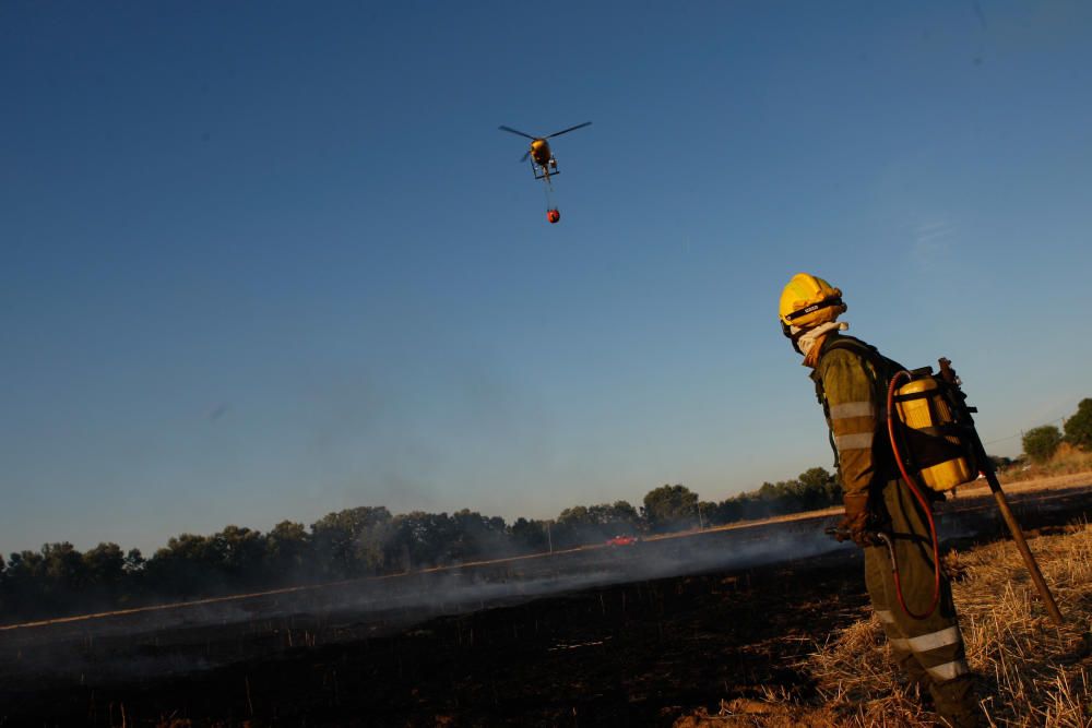 Incendio Carrascal