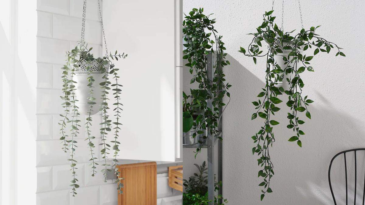 Plantas Ikea | Las plantas colgantes son ideales para cualquier terraza y balcón