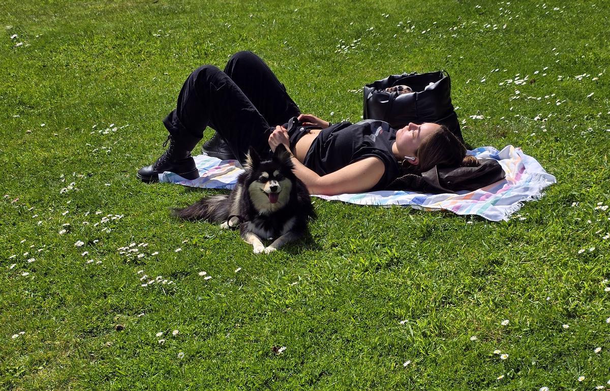 Imagen de archivo de una chica tumbada en la hierba junto a su perro.