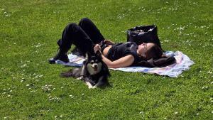 Barcelona planteja prohibir els gossos a gran part del Parc Central del Poblenou, també si van lligats