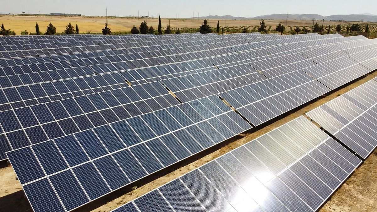 Paneles fotovoltaicos, en una imagen de archivo