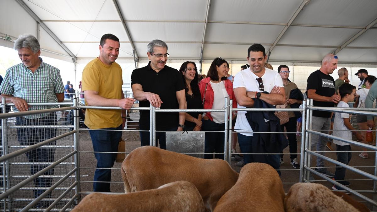 Servando Dorta (i), Óscar Noda, Román Rodríguez y Yoné Caraballo en la feria de ganado de Uga.