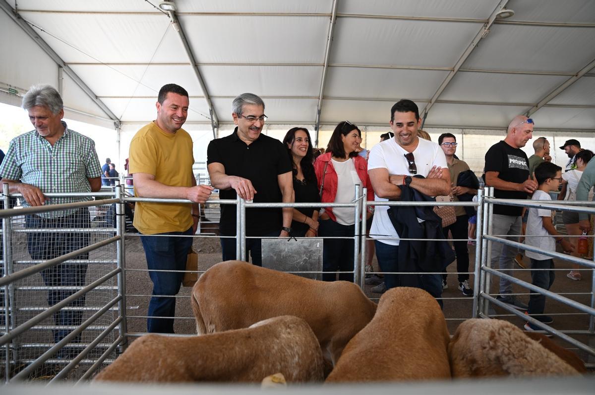 Servando Dorta (i), Óscar Noda, Román Rodríguez y Yoné Caraballo en la feria de ganado de Uga.