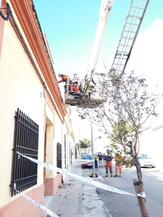 El fuerte vendaval causa la caída de árboles y de cascotes en València