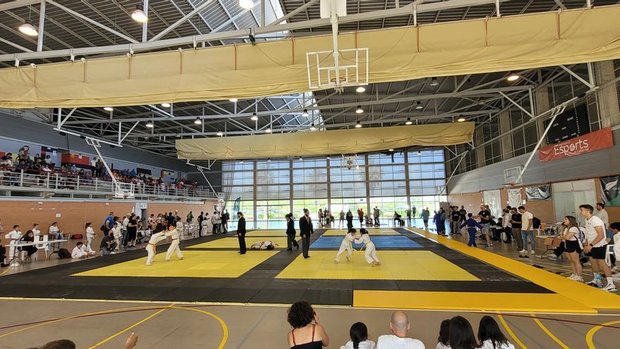 Actividad de promoción de Judo entre los más jóvenes