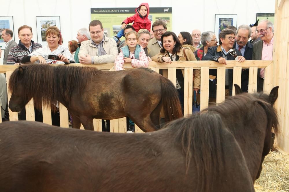 Inauguración de la feria de La Ascensión