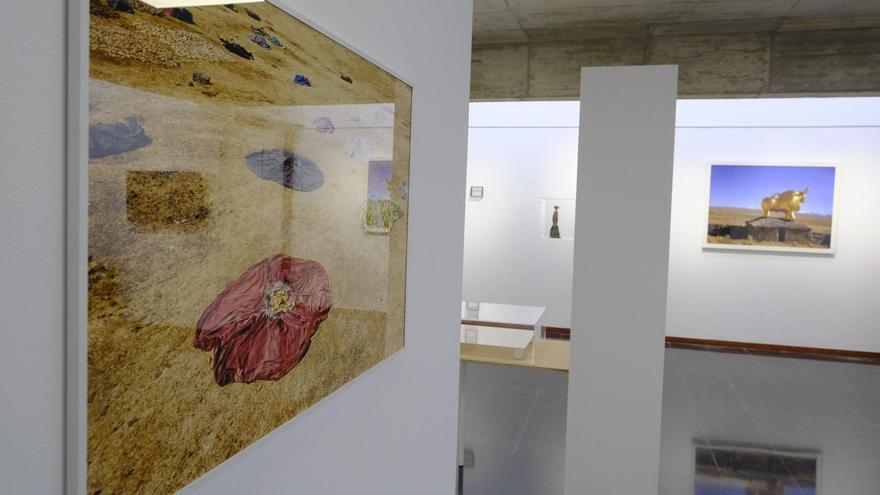 Exposiciones de la Fundación Francis Naranjo en el Centro Cultural Pepe Dámaso