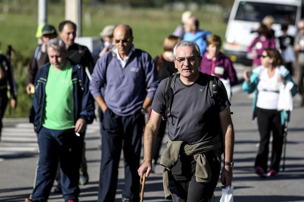 Ruta de las Santas Reliquias, entre Oviedo y el Monsacro