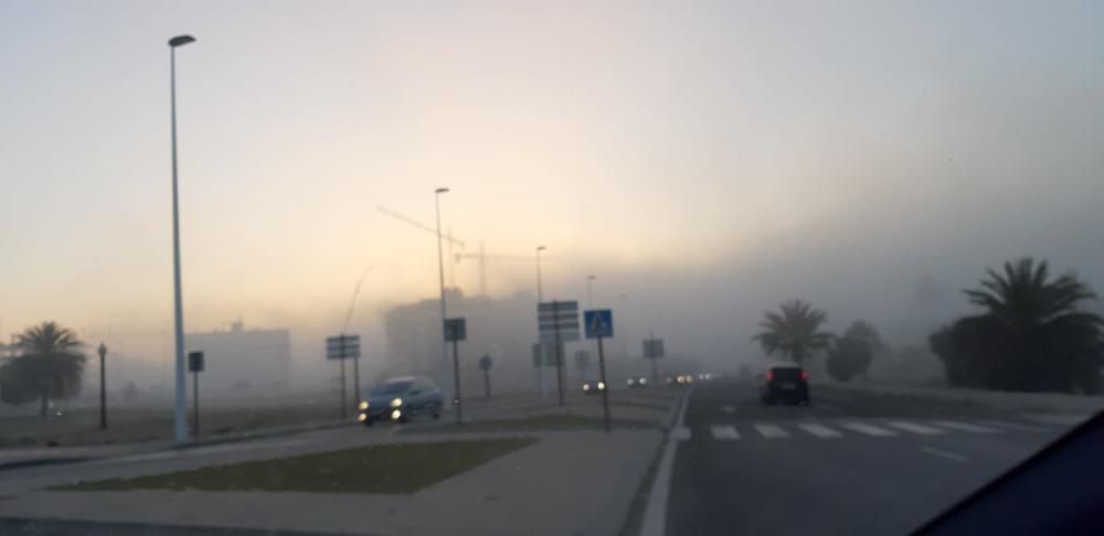 Elche también ha amanecido con una densa niebla