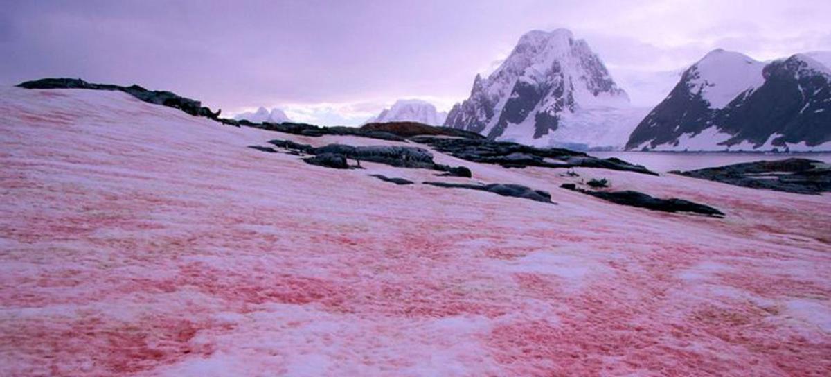 Aspecto que adquiere la nieve por este fenómeno