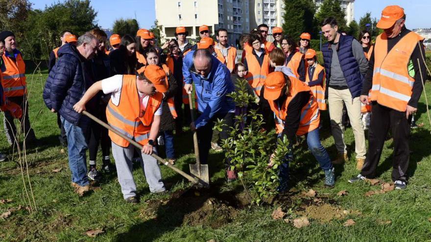 Plantación de árboles de Repsol y Down Coruña en Culleredo