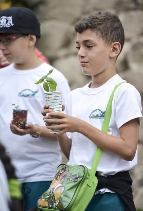 LAS PALMAS DE GRAN CANARIA A 05/06/2017. Día Mundial del Medio Ambiente. 100 escolares de varios colegios en las diferentes actividades de Centro Ambiental El Pambaso. FOTO: J.PÉREZ CURBELO
