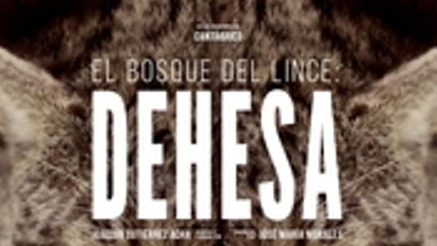 Dehesa, el bosque del lince ibérico