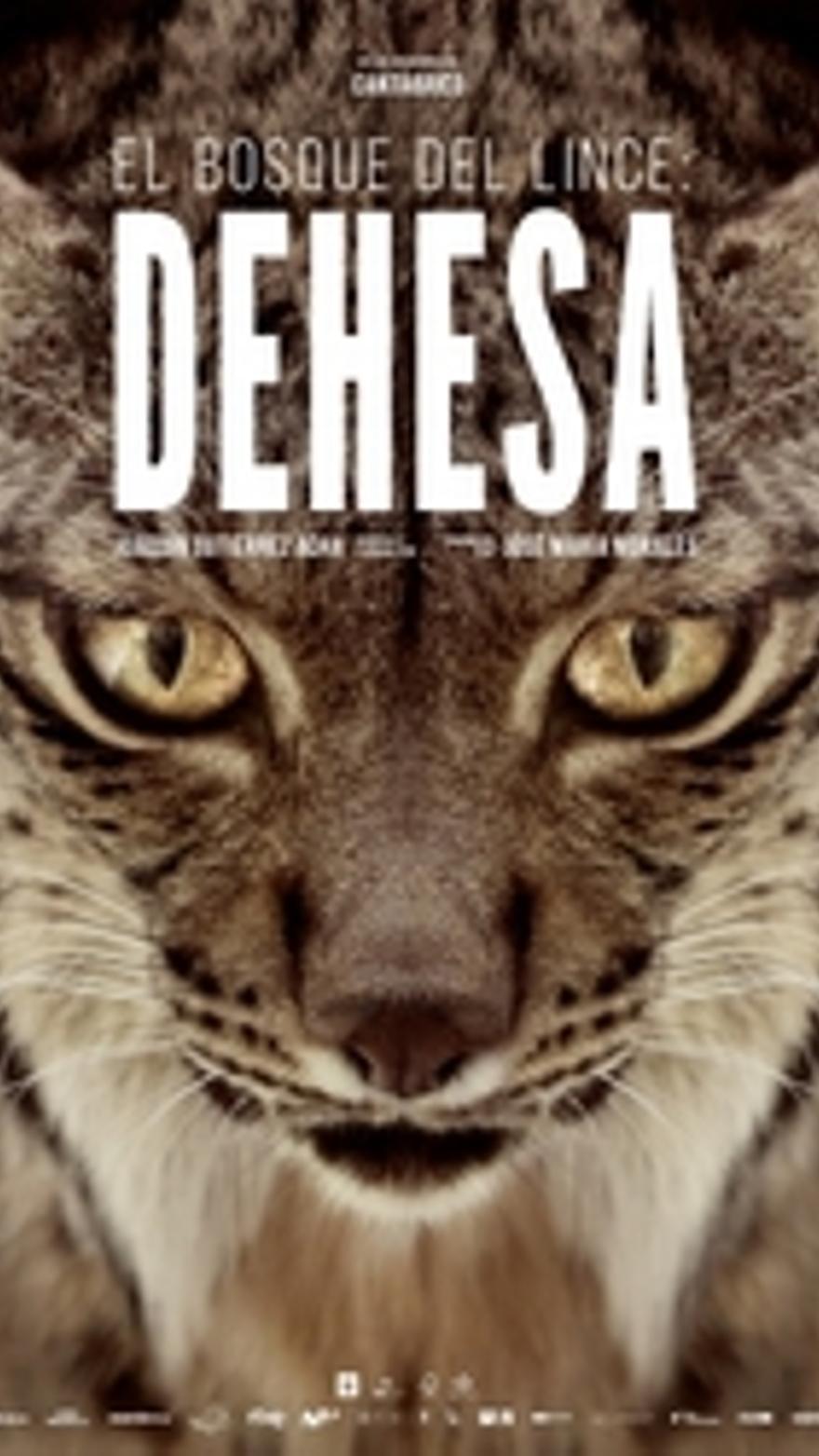 Dehesa, el bosque del lince ibérico