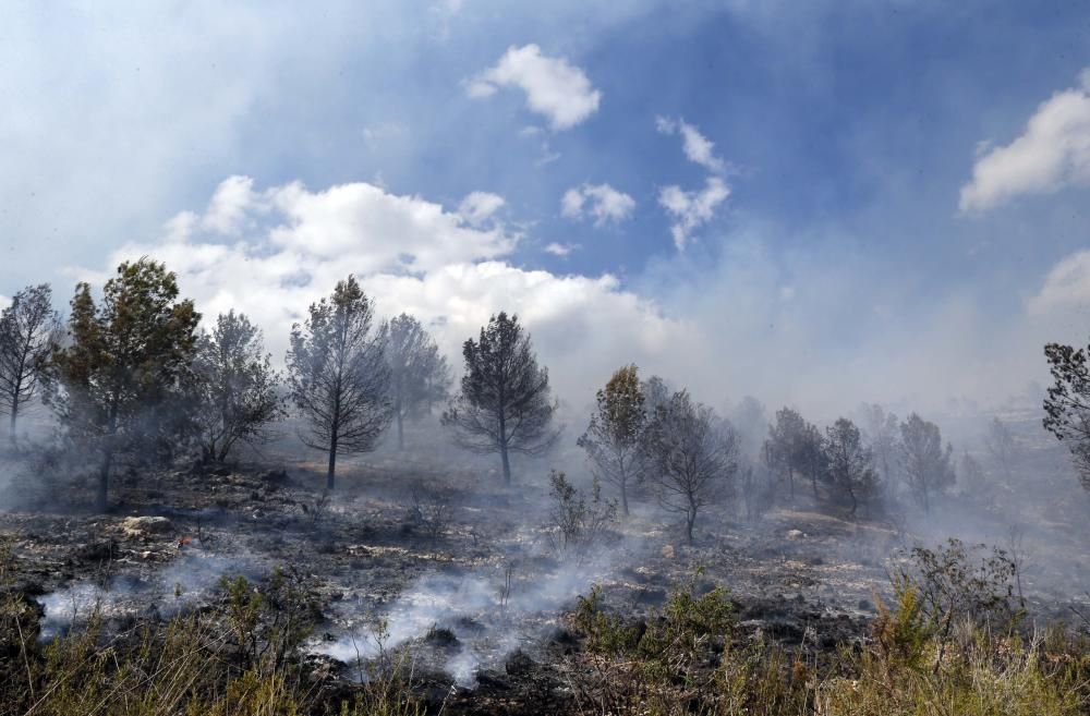 Incendio forestal en Carcaixent