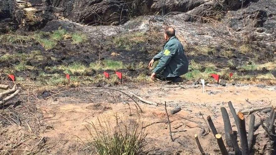 Un agente en la zona de la lumbre junto al río Frío.