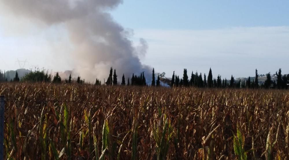 Vista del humo desde lejos.