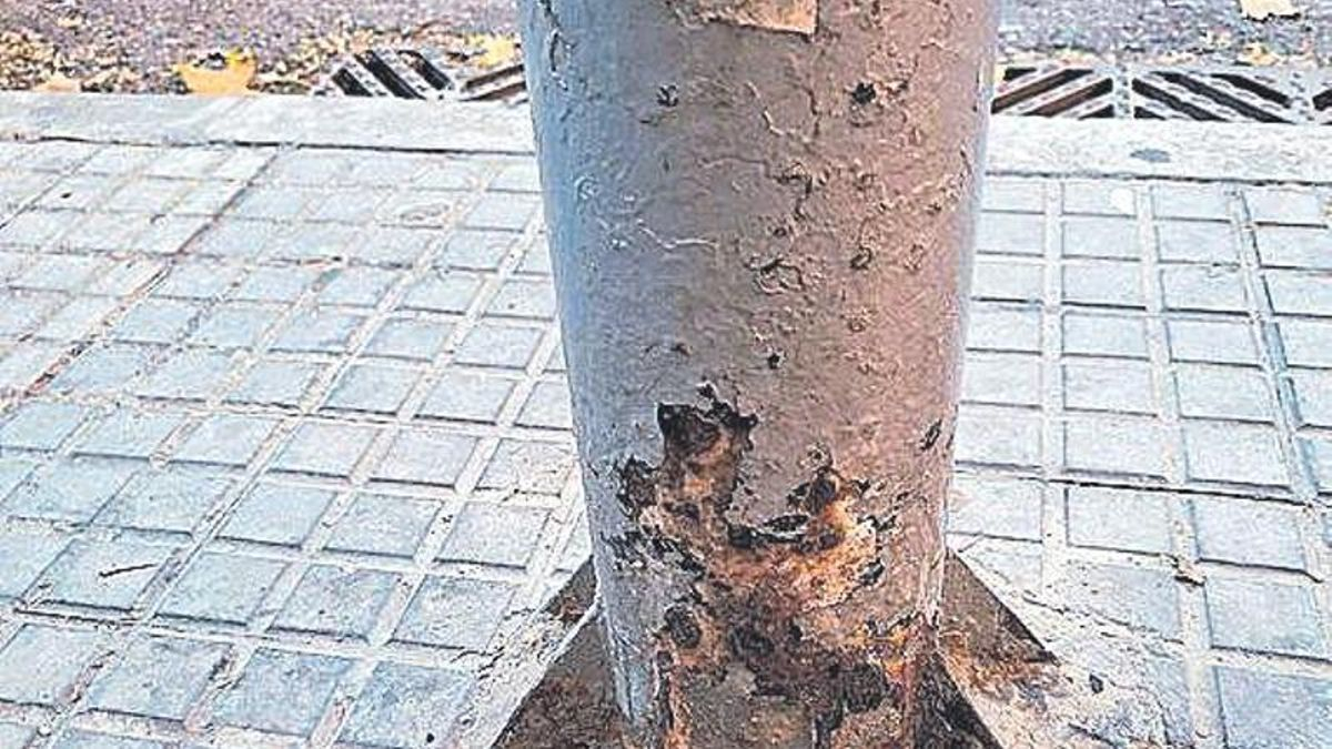 Fanal erosionat per l'orina dels cans
