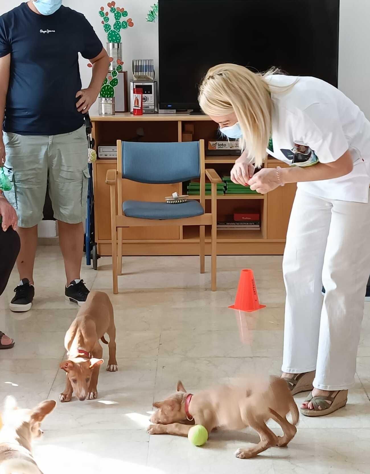 Arrugas con huellas: proyecto con mascotas abandonadas en centro de mayores