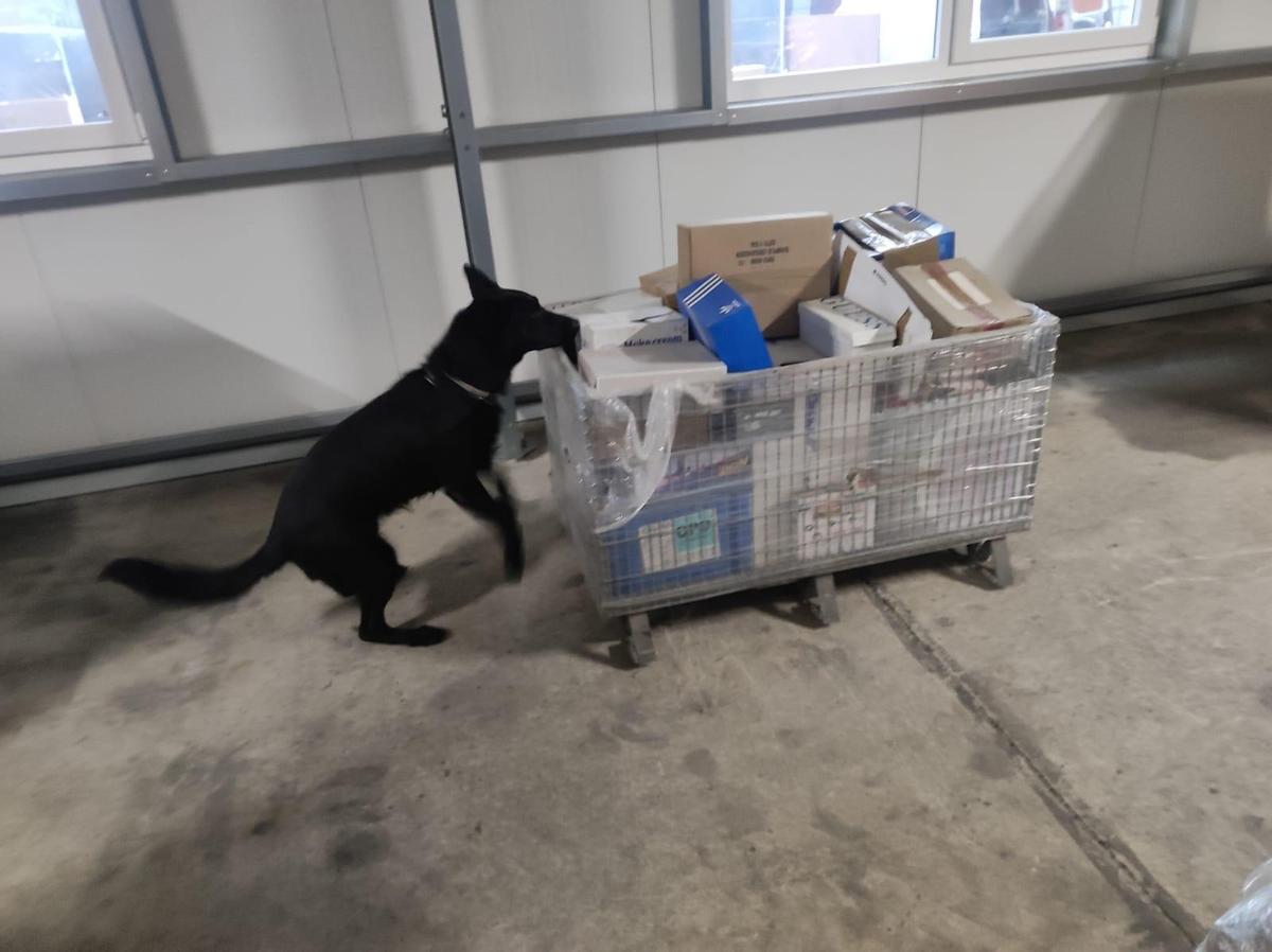 'Wanda', durante una intervención.