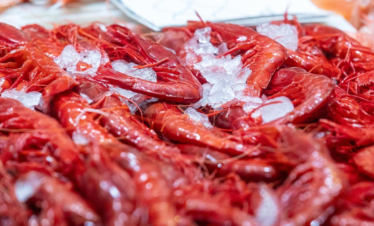 Gamba roja en el Mercado Central de Alicante.