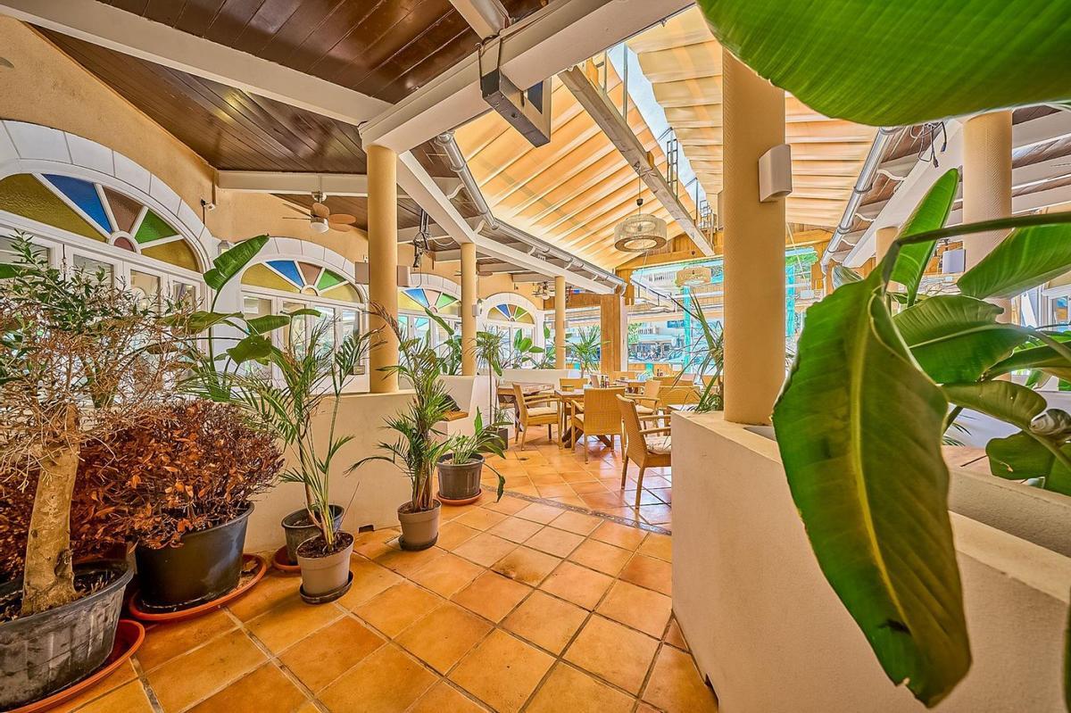 Für 250.000 Euro inseriert: So sieht es aktuell im Sharky's von "Goodbye Deutschland"-Mallorca-Auswanderer Steff Jerkel aus