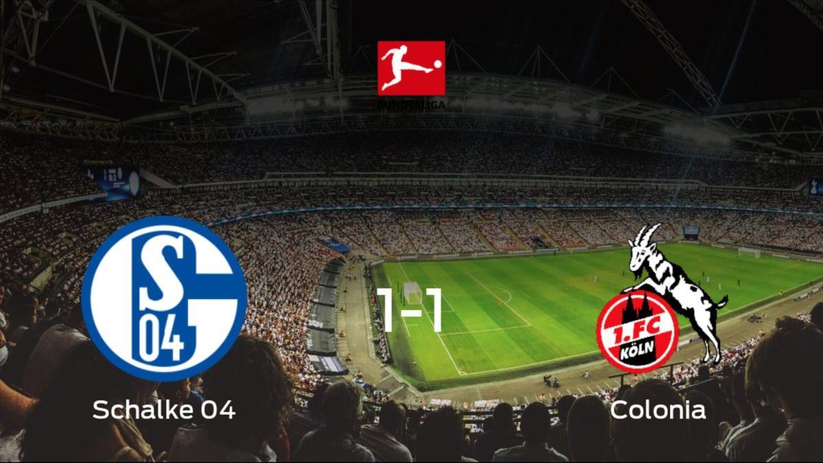 El Schalke 04 y el Colonia consiguen un punto tras empatar a uno