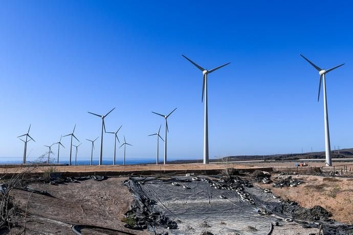 INAGURACION DEL MAYOR PARQUE EOLICO DE CANARIAS