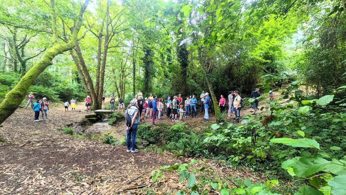 Un recorrido por el sendero del Rialdarca.