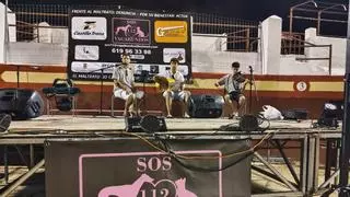 Brozas se vuelca con los animales en una noche solidaria para ayudar a una protectora que necesita un nuevo hogar