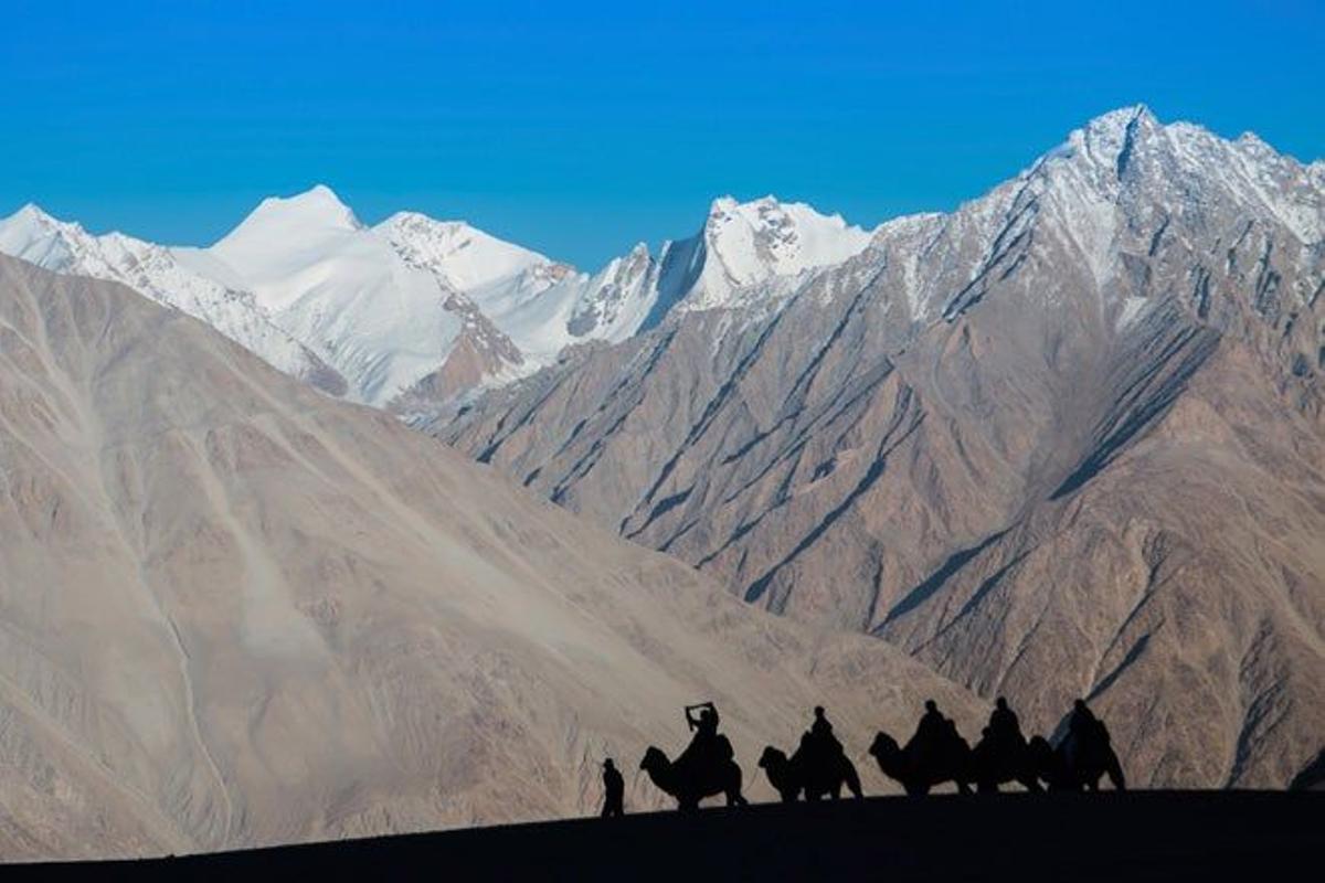 Caravana de camellos en la cordillera del Karakórum.