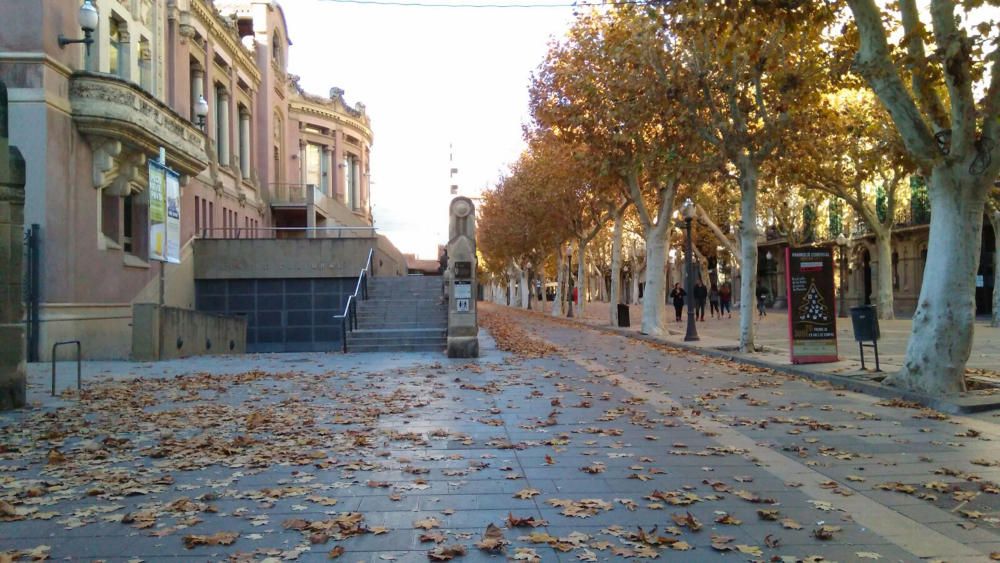 Tardor. Les fulles dels arbres ens indiquen que la tardor ja és ben aprop. Al passeig Pere III de Manresa, la tardor comença a pintar amb les seves tonalitats torrades tot l’entorn.