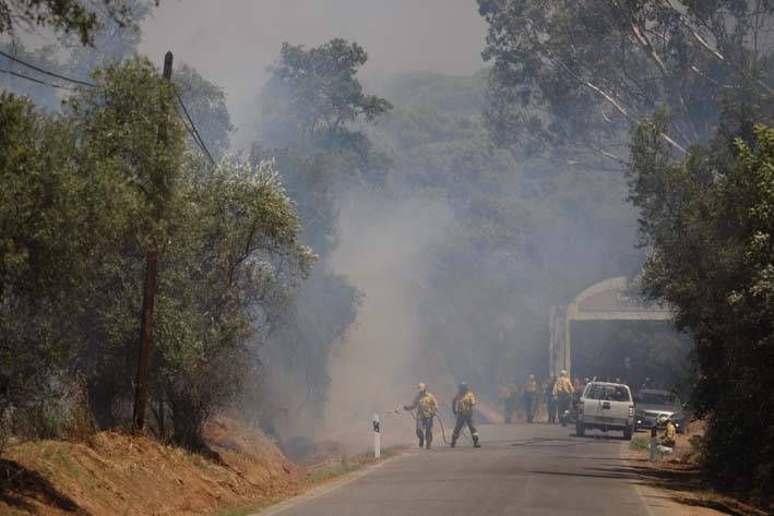 Las imágenes del incendio en el entorno del hospital de Los Morales.