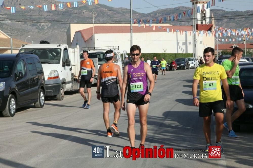 XV Carrera Popular Fiestas del Campillo