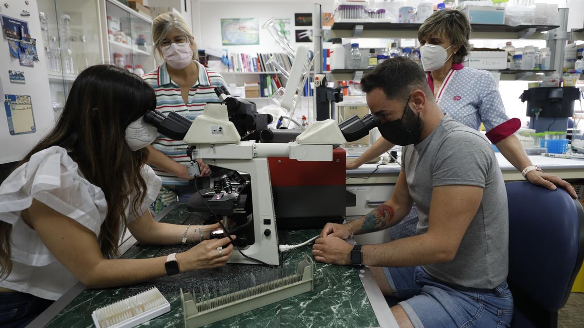 Yaiza Potes y Juan Carlos Bermejo, utilizando el microscopio. | Luisma Murias