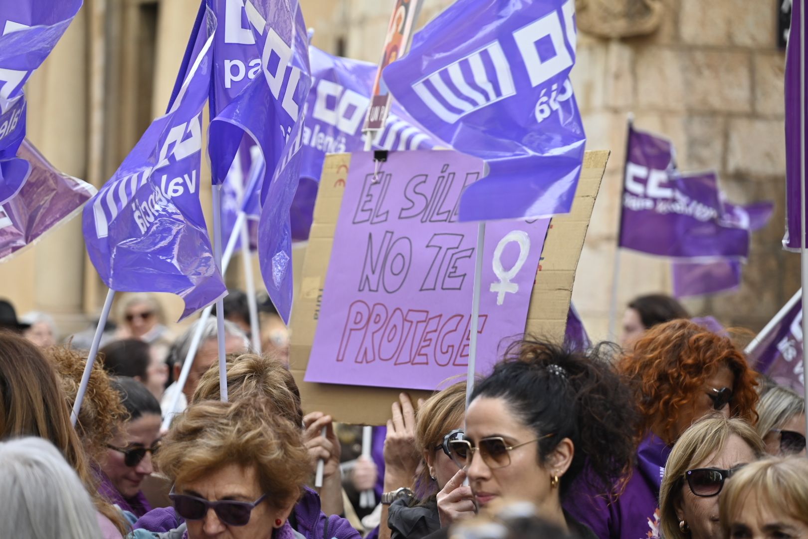 Galería: Castelló se reivindica por el 8M