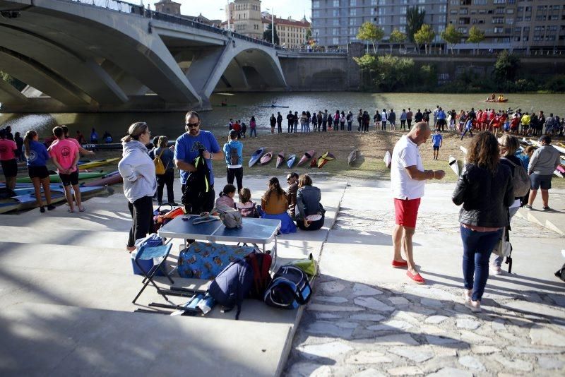 Campeonato de regatas en el Ebro