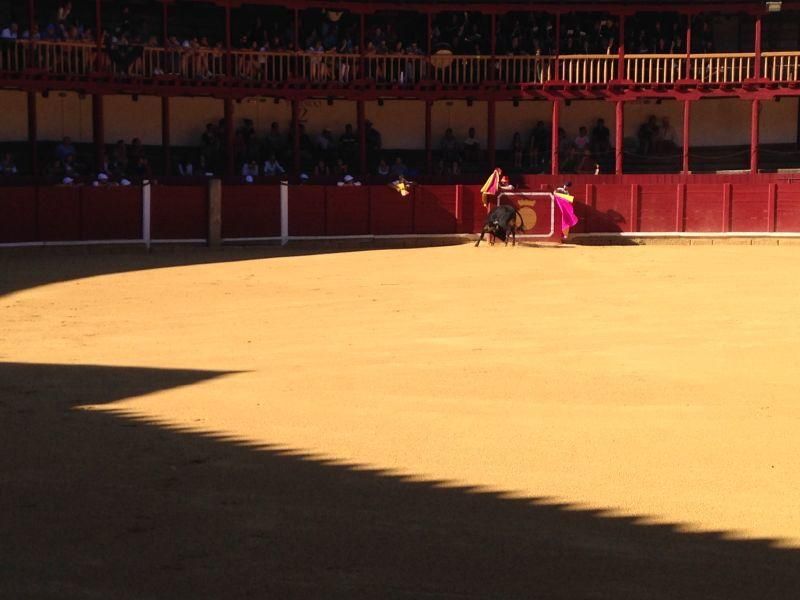 Fiestas en Toro | Becerrada de las peñas