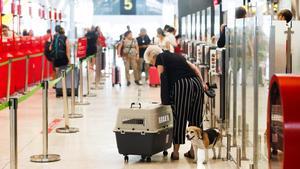 Una mujer con un perro en uno de los pasillos de la Terminal T4 del Aeropuerto Adolfo Suárez-Madrid Barajas