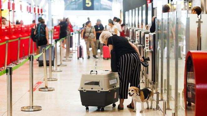 Una mujer con un perro en uno de los pasillos de la Terminal T4 del Aeropuerto Adolfo Suárez-Madrid Barajas