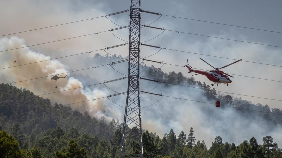 Incendio forestal en Arico