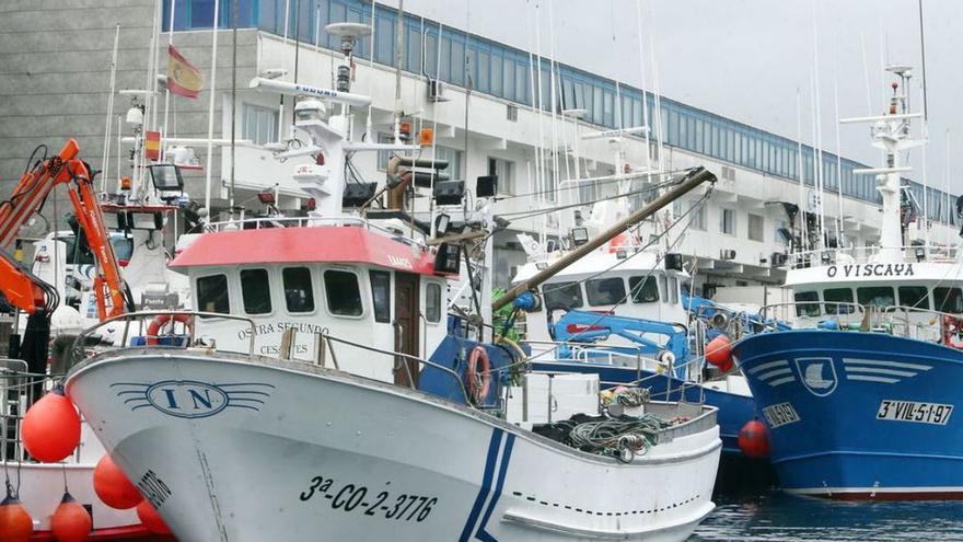 Flota de cerco en la dársena de O Berbés, en Vigo