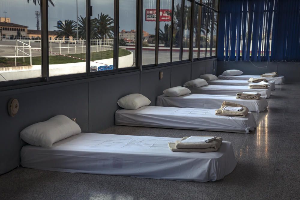 Habilitan camas en el hipódromo Son Pardo para personas sin hogar